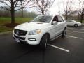Arctic White - ML 350 4Matic Photo No. 3