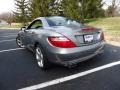 2012 Paladium Silver Metallic Mercedes-Benz SLK 350 Roadster  photo #4