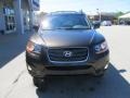 Espresso Brown - Santa Fe Limited AWD Photo No. 9