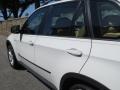 Alpine White - X5 xDrive30i Photo No. 21
