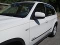 Alpine White - X5 xDrive30i Photo No. 22