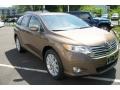 2009 Golden Umber Mica Toyota Venza I4  photo #1