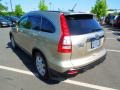 2008 Borrego Beige Metallic Honda CR-V EX-L  photo #5