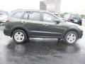 2010 Black Forest Green Metallic Hyundai Santa Fe Limited  photo #2