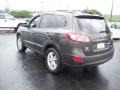 2010 Black Forest Green Metallic Hyundai Santa Fe Limited  photo #5