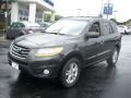 2010 Black Forest Green Metallic Hyundai Santa Fe Limited  photo #20