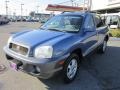 2003 Arctic Blue Hyundai Santa Fe GLS 4WD #65041847