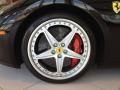 2010 Ferrari 599 GTB Fiorano HGTE Wheel and Tire Photo