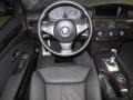 2010 Carbon Black Metallic BMW 5 Series 528i xDrive Sedan  photo #25