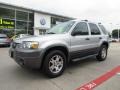 2005 Silver Metallic Ford Escape XLT V6  photo #1