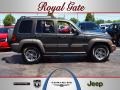 2005 Dark Khaki Pearl Jeep Liberty Renegade 4x4  photo #1