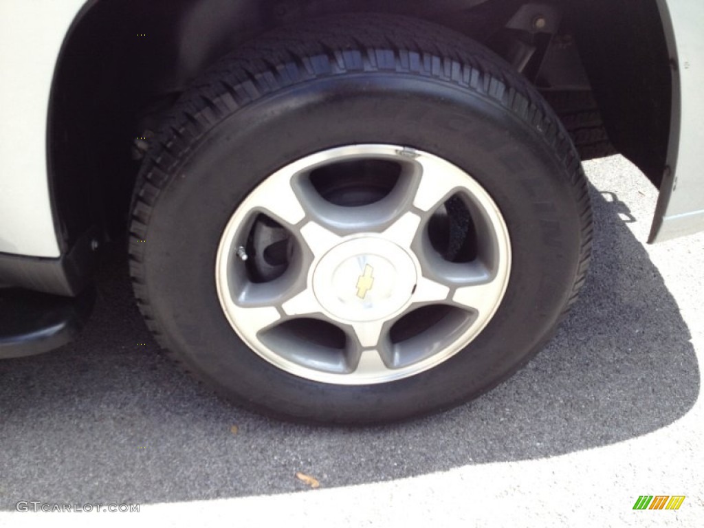2009 TrailBlazer LT - Silver Ice Metallic / Gray photo #5
