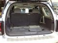 2009 Silver Ice Metallic Chevrolet TrailBlazer LT  photo #9