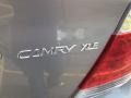 Lunar Mist Metallic - Camry XLE Photo No. 12