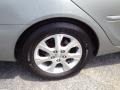 Lunar Mist Metallic - Camry XLE Photo No. 13