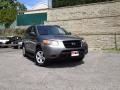 2009 Steel Gray Hyundai Santa Fe GLS  photo #1