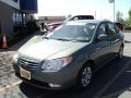 Natural Khaki - Elantra GLS Photo No. 1