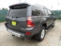 2003 Galactic Gray Mica Toyota 4Runner Limited  photo #3