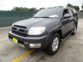 2003 Galactic Gray Mica Toyota 4Runner Limited  photo #7