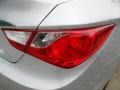 Radiant Silver - Sonata GLS Photo No. 15