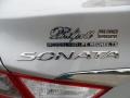 Radiant Silver - Sonata GLS Photo No. 17