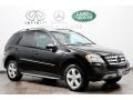 Black - ML 350 4Matic Photo No. 1