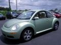 Gecko Green Metallic - New Beetle 2.5 Coupe Photo No. 5