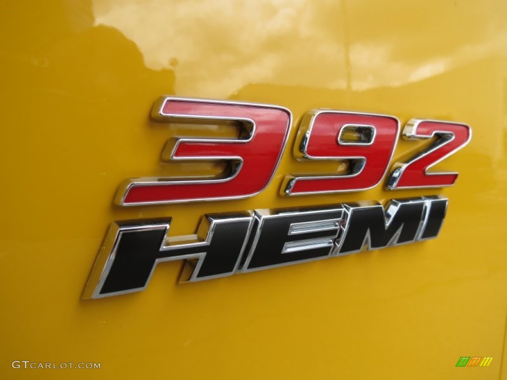 2012 Dodge Charger SRT8 Super Bee Marks and Logos Photo #65139689