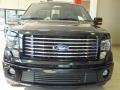 Tuxedo Black Metallic - F150 Harley-Davidson SuperCrew Photo No. 10