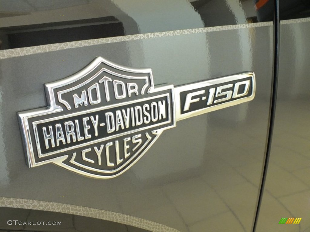 2012 F150 Harley-Davidson SuperCrew - Tuxedo Black Metallic / Harley-Davidson Black/Smoked Silver "Snakeskin" Leather photo #22