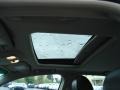 Black Clearcoat - Zephyr  Photo No. 12