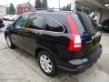 2009 Crystal Black Pearl Honda CR-V EX 4WD  photo #3
