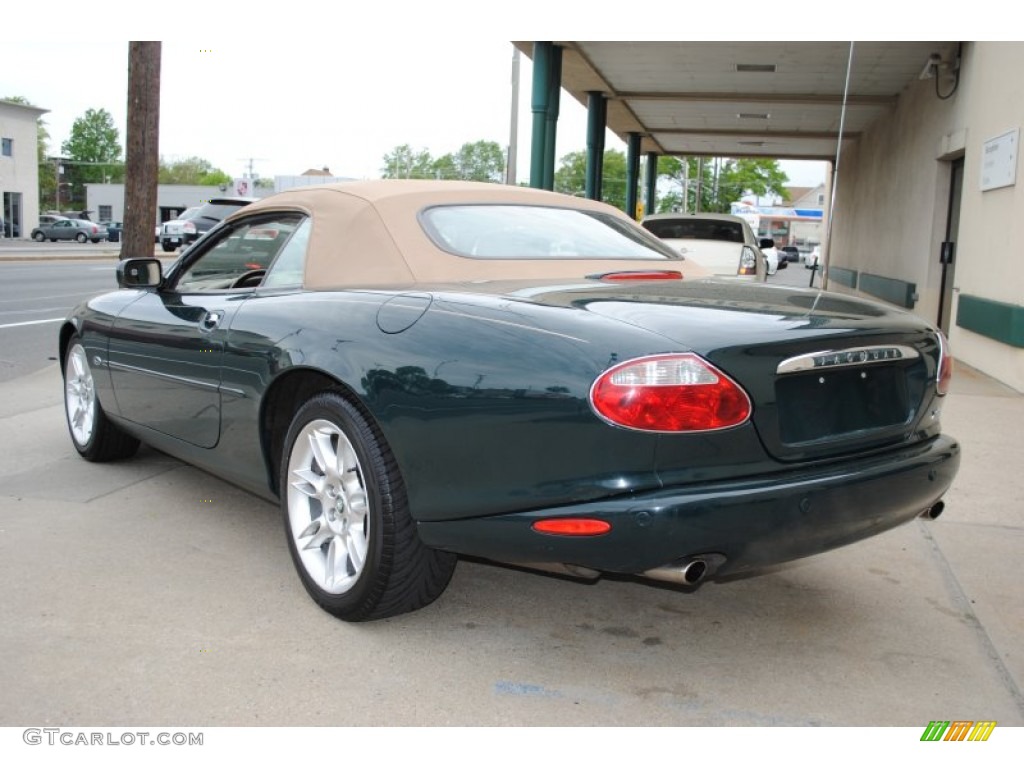 2001 XK XK8 Convertible - British Racing Green Metallic / Cashmere photo #4