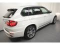 Alpine White - X5 xDrive50i Photo No. 11