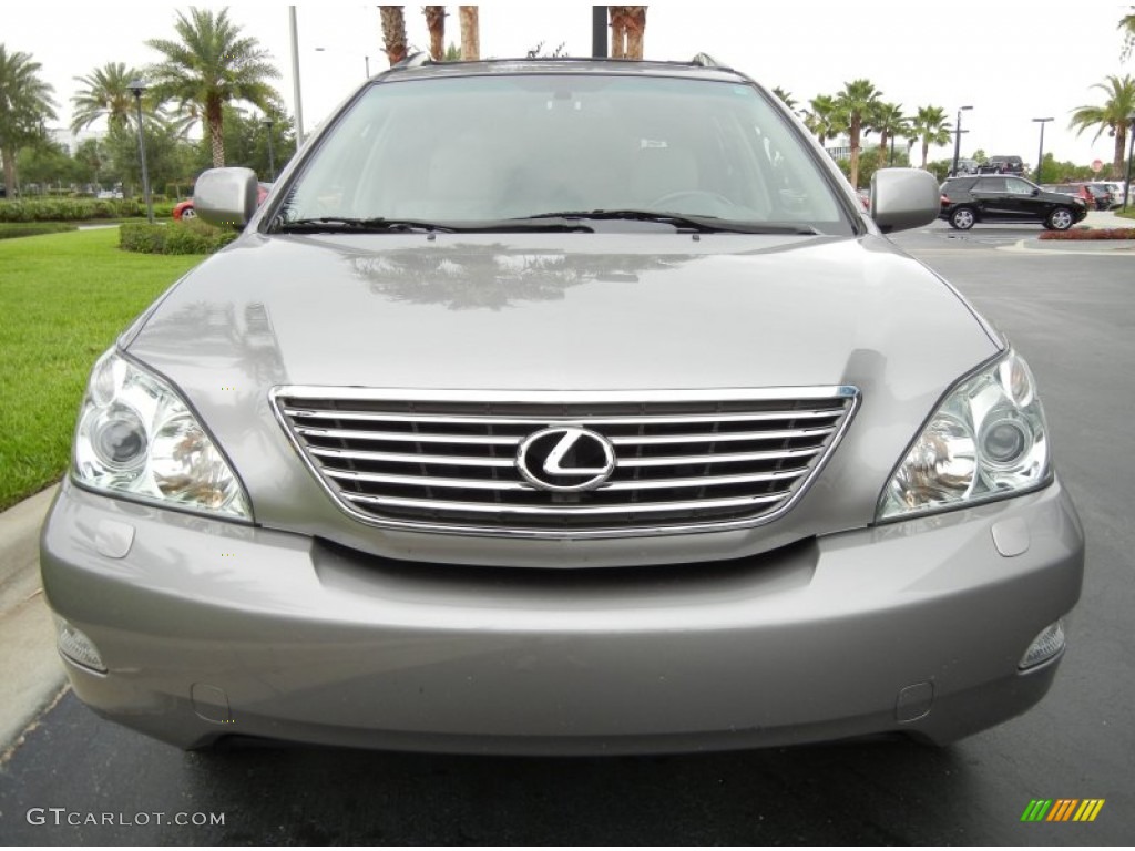 2005 RX 330 Thundercloud Edition - Thunder Cloud Metallic / Light Gray photo #3