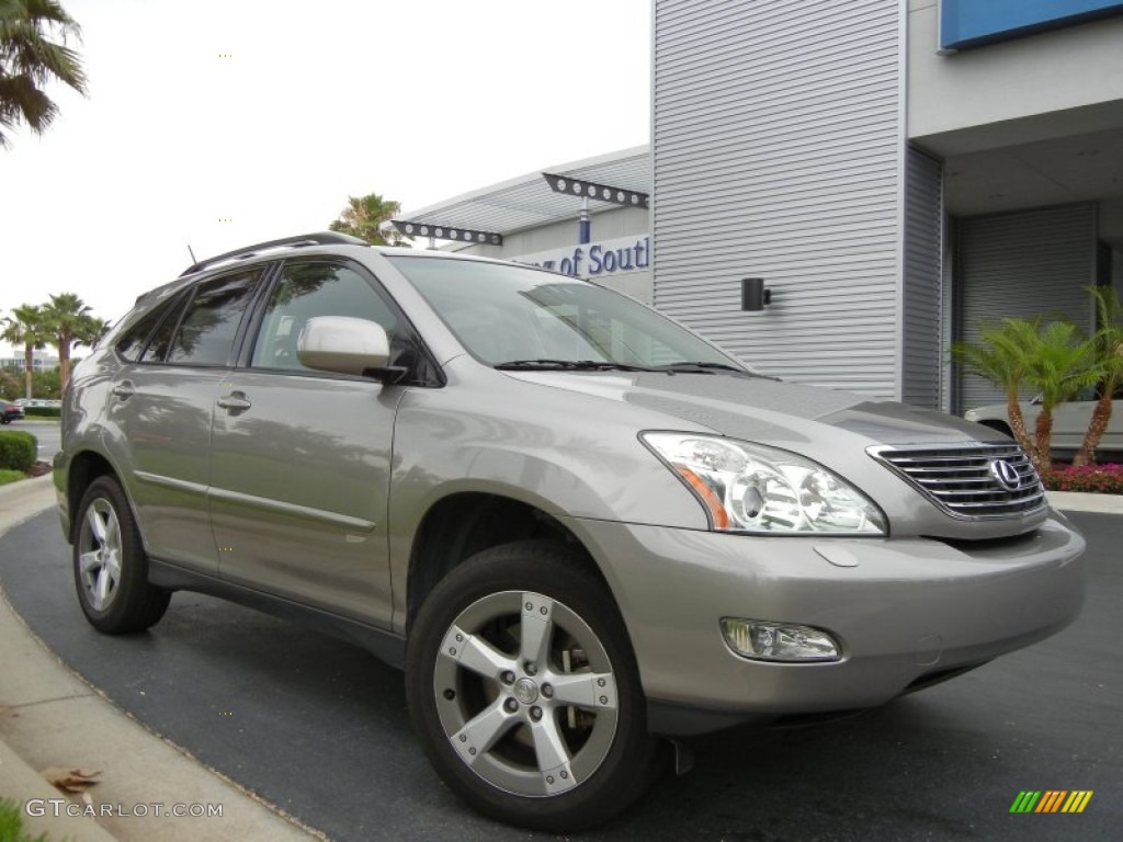 2005 RX 330 Thundercloud Edition - Thunder Cloud Metallic / Light Gray photo #4