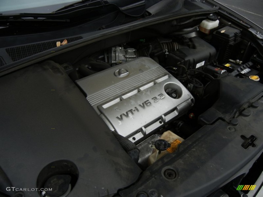 2005 RX 330 Thundercloud Edition - Thunder Cloud Metallic / Light Gray photo #28