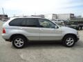 Titanium Silver Metallic - X5 3.0i Photo No. 6