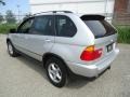 Titanium Silver Metallic - X5 3.0i Photo No. 9