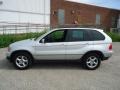 Titanium Silver Metallic - X5 3.0i Photo No. 10
