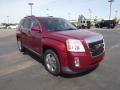 Merlot Jewel Metallic - Terrain SLE Photo No. 3