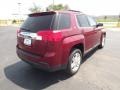 Merlot Jewel Metallic - Terrain SLE Photo No. 5
