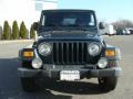 2005 Deep Beryl Green Pearl Jeep Wrangler Sport 4x4  photo #2