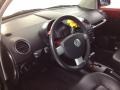 Salsa Red - New Beetle 2.5 Coupe Photo No. 15