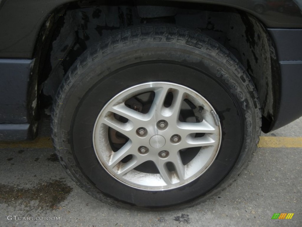 2004 Grand Cherokee Laredo - Graphite Metallic / Dark Slate Gray photo #22