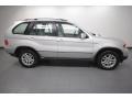 Titanium Silver Metallic - X5 3.0i Photo No. 7