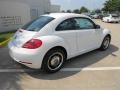 Candy White - Beetle 2.5L Photo No. 7