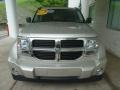 Bright Silver Metallic - Nitro SE 4x4 Photo No. 6