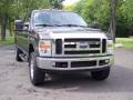 Dark Shadow Grey Metallic - F350 Super Duty XLT Crew Cab 4x4 Photo No. 12