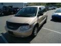 Champagne Pearl - Town & Country LXi Photo No. 4